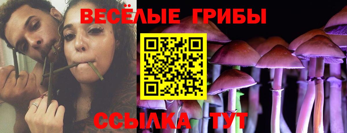 Псилоцибиновые грибы ЛСД Туймазы